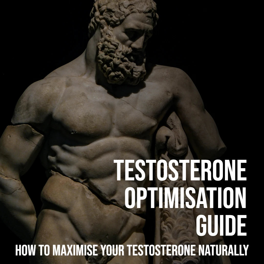 Testosterone Optimisation Guide