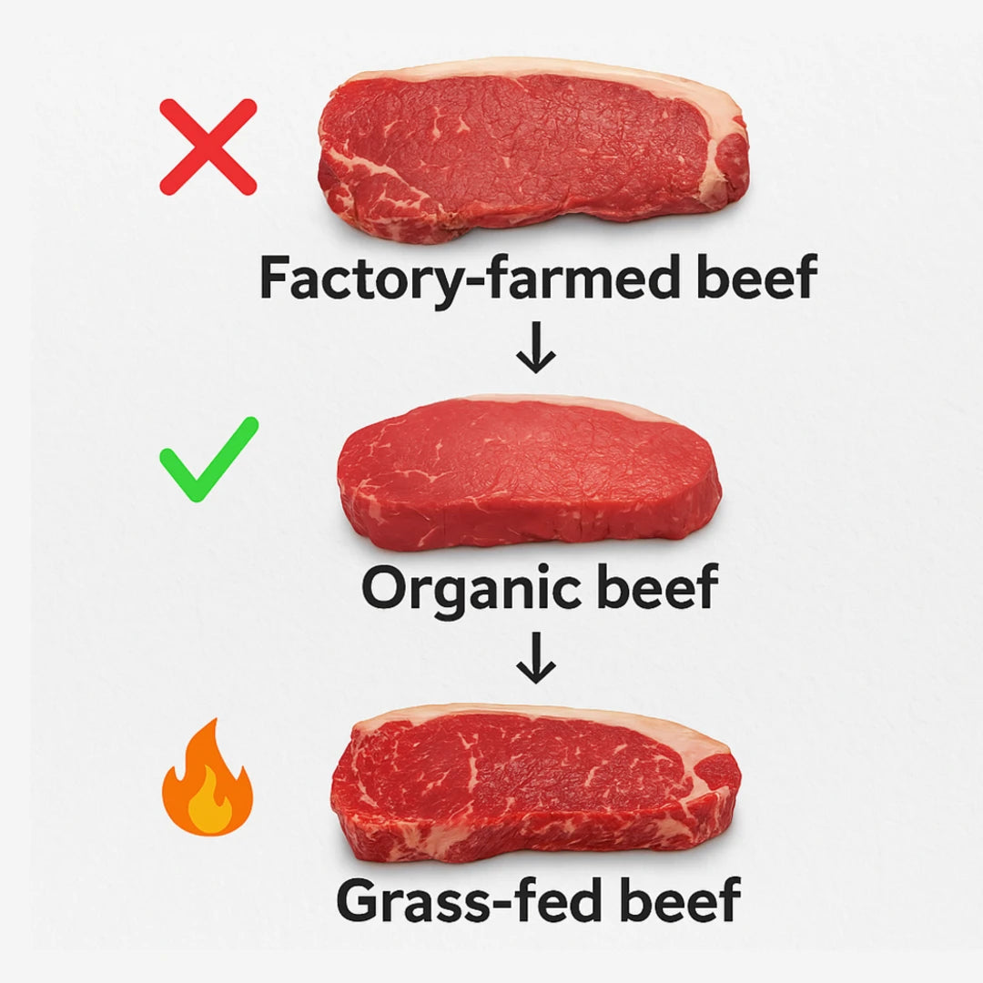 Ultimate Nutrition Guide