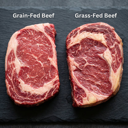 Ultimate Nutrition Guide