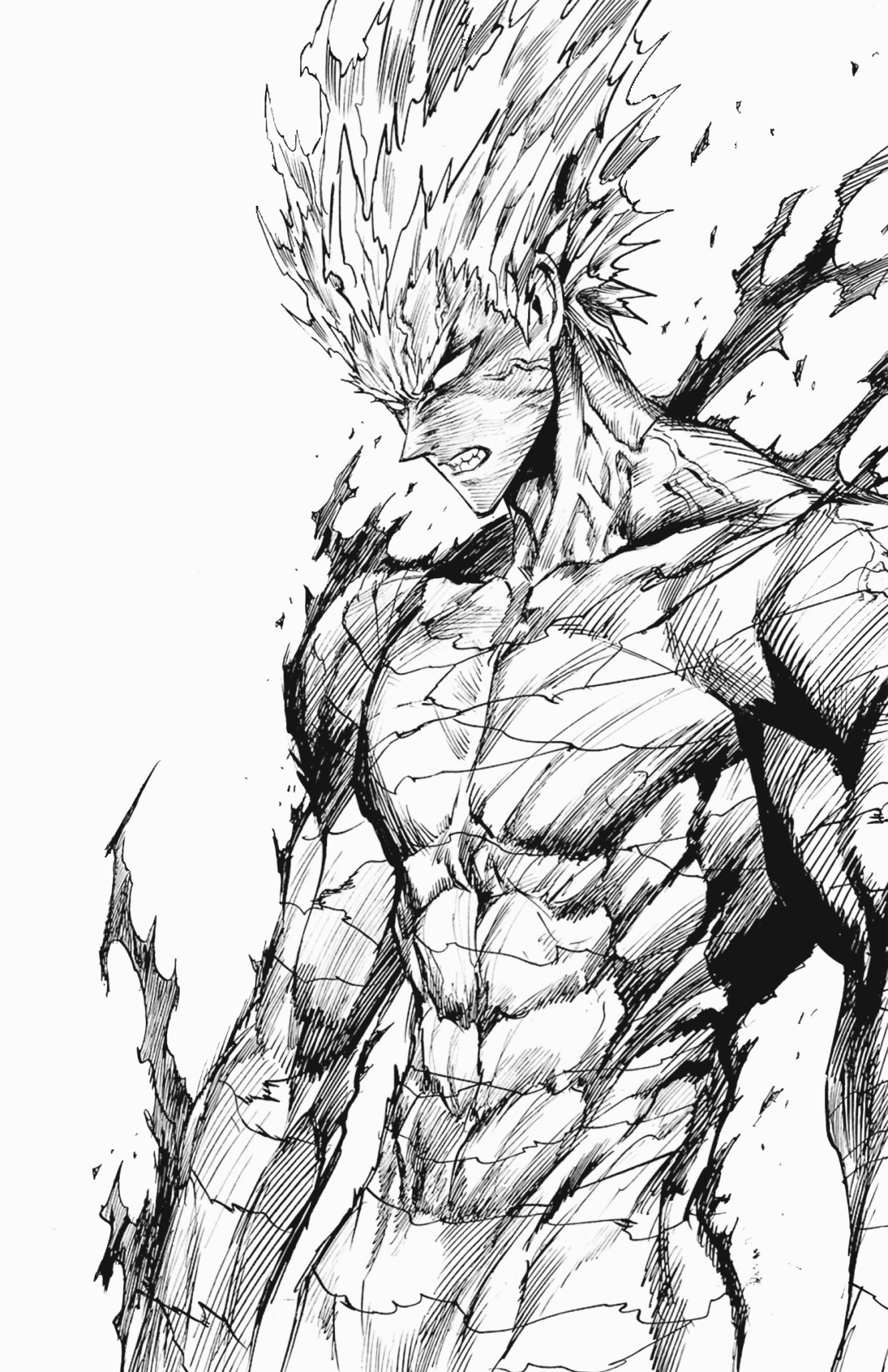 Garou Physique Program